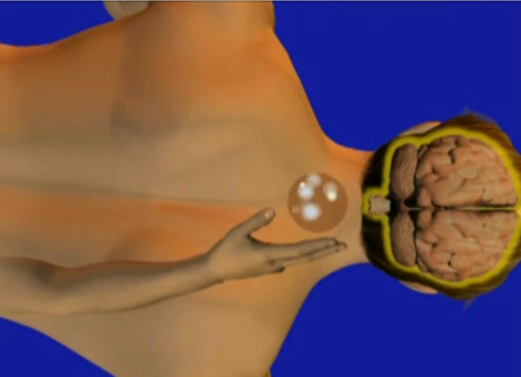 Dominic Smorra, DC | 18 Ward Pl, Caldwell, NJ 07006, USA | Phone: (973) 226-3321