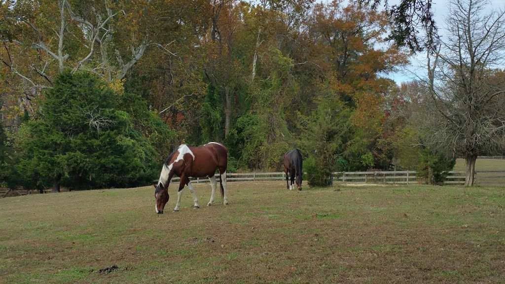 Soft Landing Stables LLC Boarding nr DC | 207 Farmington Rd W, Accokeek, MD 20607 | Phone: (703) 944-9456