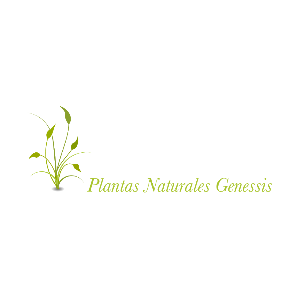 Plantas Naturales Genessis | 9029 Long Beach Blvd, South Gate, CA 90280, USA | Phone: (323) 567-5649