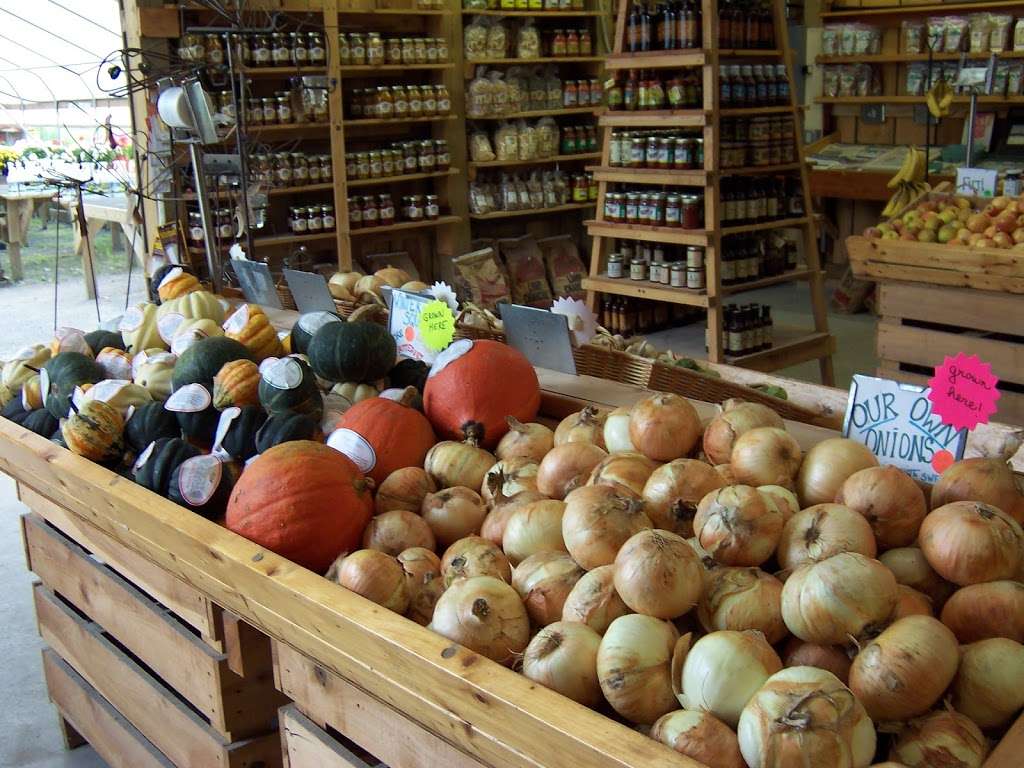 Petes Produce Farm | 7611 1225, PA-926, West Chester, PA 19382 | Phone: (610) 399-3711