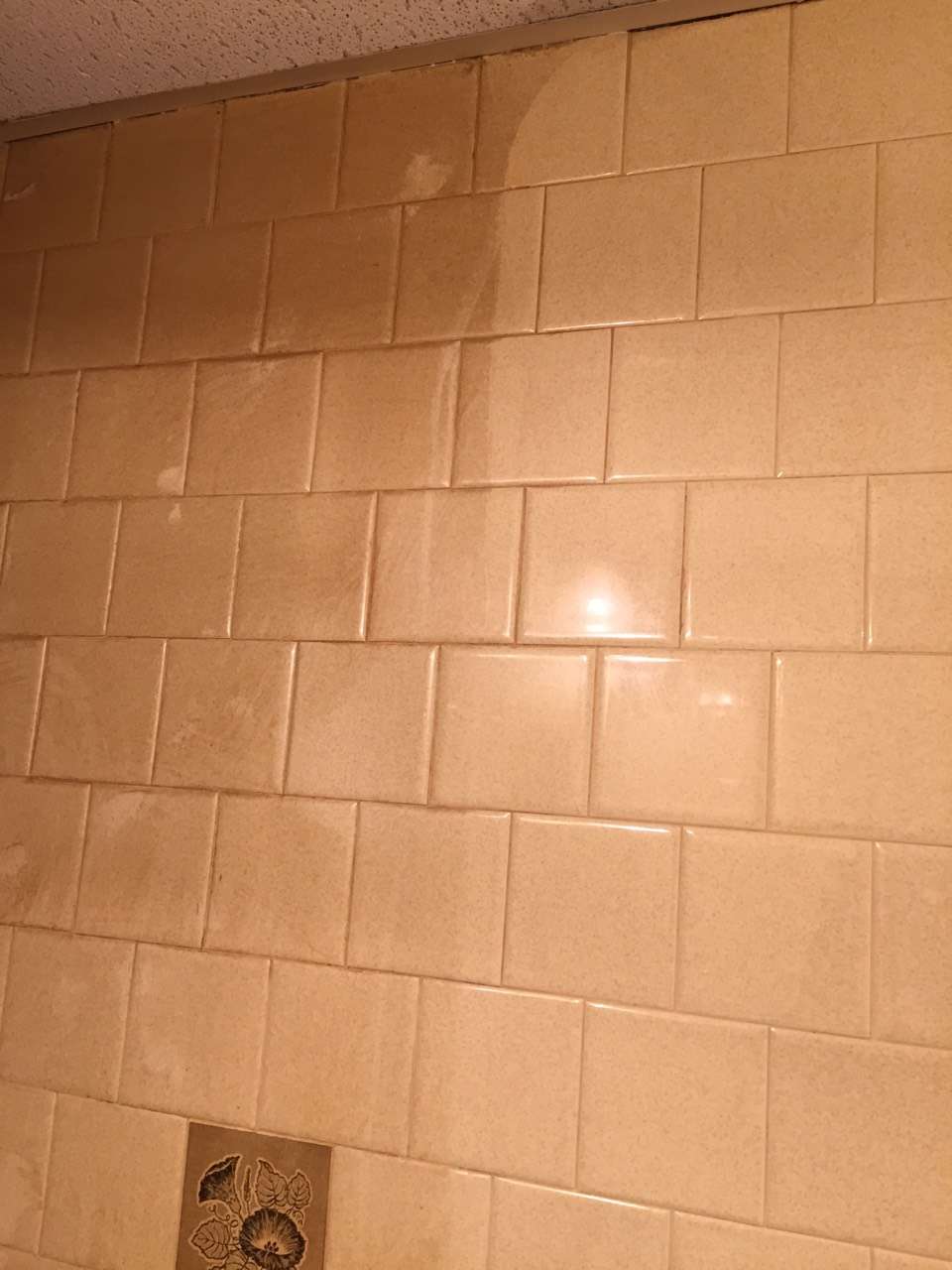 Ms. Carpet Clean | Carpet Cleaning Massachusetts | 30 Summit Rd, Saugus, MA 01906, USA | Phone: (781) 233-5800