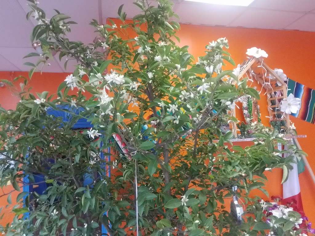 Taqueria Pantoja | 721 E Main St, Streator, IL 61364, USA | Phone: (815) 672-7758