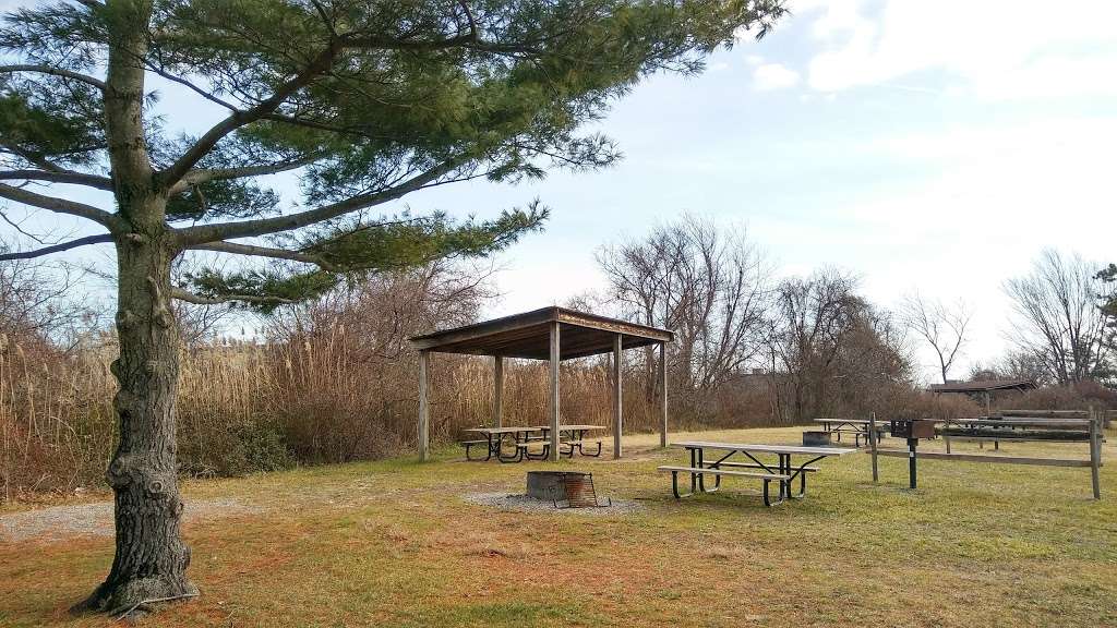 Floyd Bennett Field seaplane kayak launch | Aviation Rd, Brooklyn, NY 11234, USA | Phone: (718) 338-3799