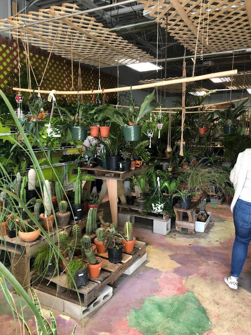 Worldwide Cactus And Exotics | 2630 E Central Ave, Wichita, KS 67214, USA | Phone: (316) 260-1997