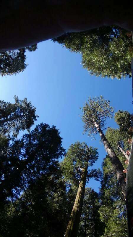 Buckhorn Campground Entrance | Pearblossom, CA 93553 | Phone: (626) 574-1613
