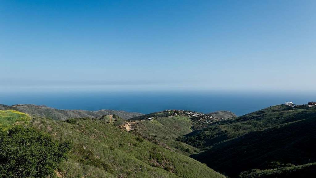 Scorpiesse | 26315 Lockwood Rd, Malibu, CA 90265, USA | Phone: (805) 341-5635