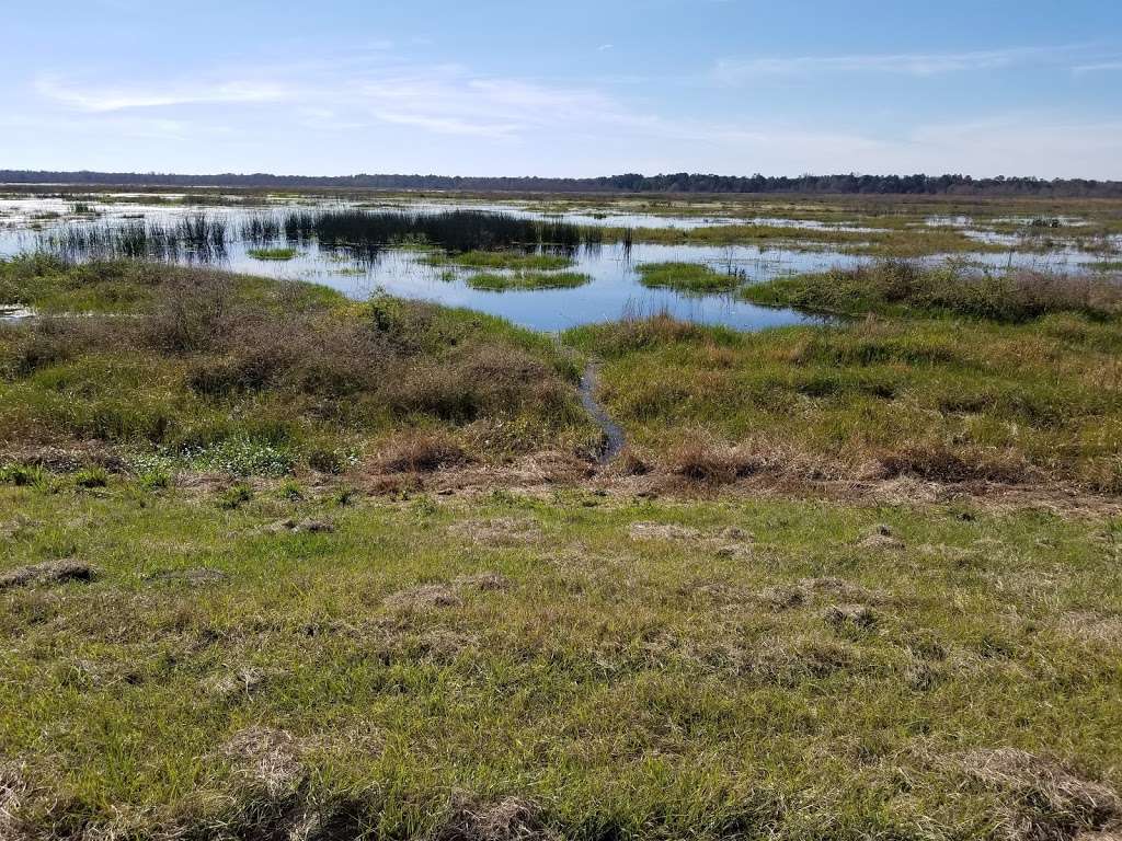 Ocklawaha Prairie Restoration Area Trail Head | SE 137th Avenue Rd, Ocklawaha, FL 32179, USA | Phone: (386) 329-4404