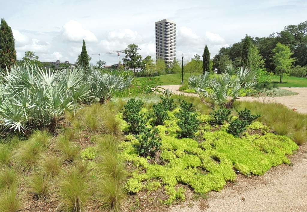 Arid Garden | 5555 Hermann Park Dr, Houston, TX 77030, USA