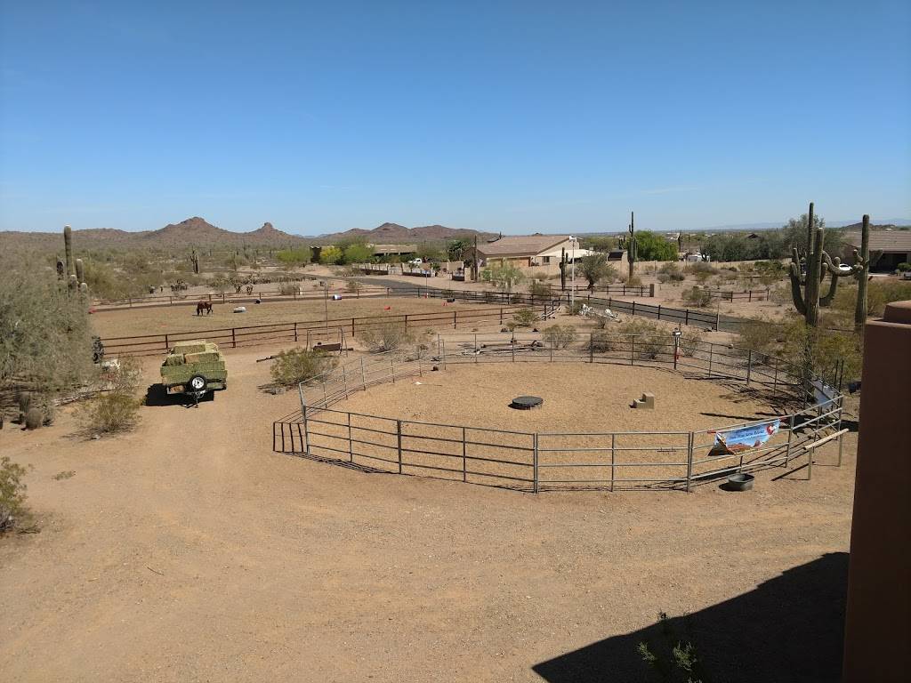 New Beginnings Paso Fino Horse | 29009 N 152nd Dr, Surprise, AZ 85387 | Phone: (623) 931-1337