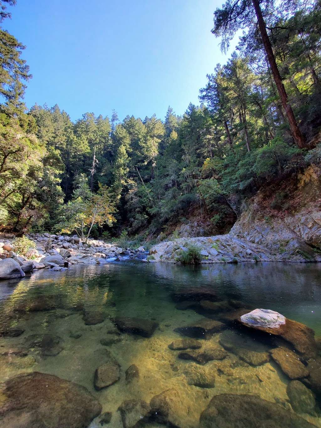 Garden Of Eden Henry Cowell Redwood State Park Ca 9 Felton