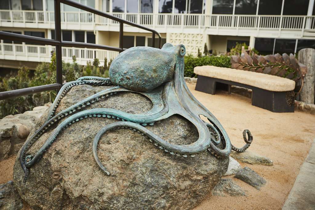 Casey Parlette Sculpture Art | 2307 Laguna Canyon Rd, Laguna Beach, CA 92651, USA | Phone: (949) 812-2916