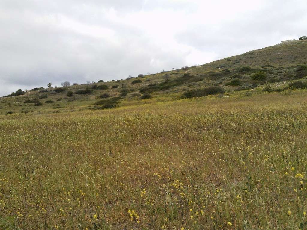 Filiorum Reserve | 916 Silver Spur Rd, Rolling Hills Estates, CA 90274, USA | Phone: (310) 541-7613