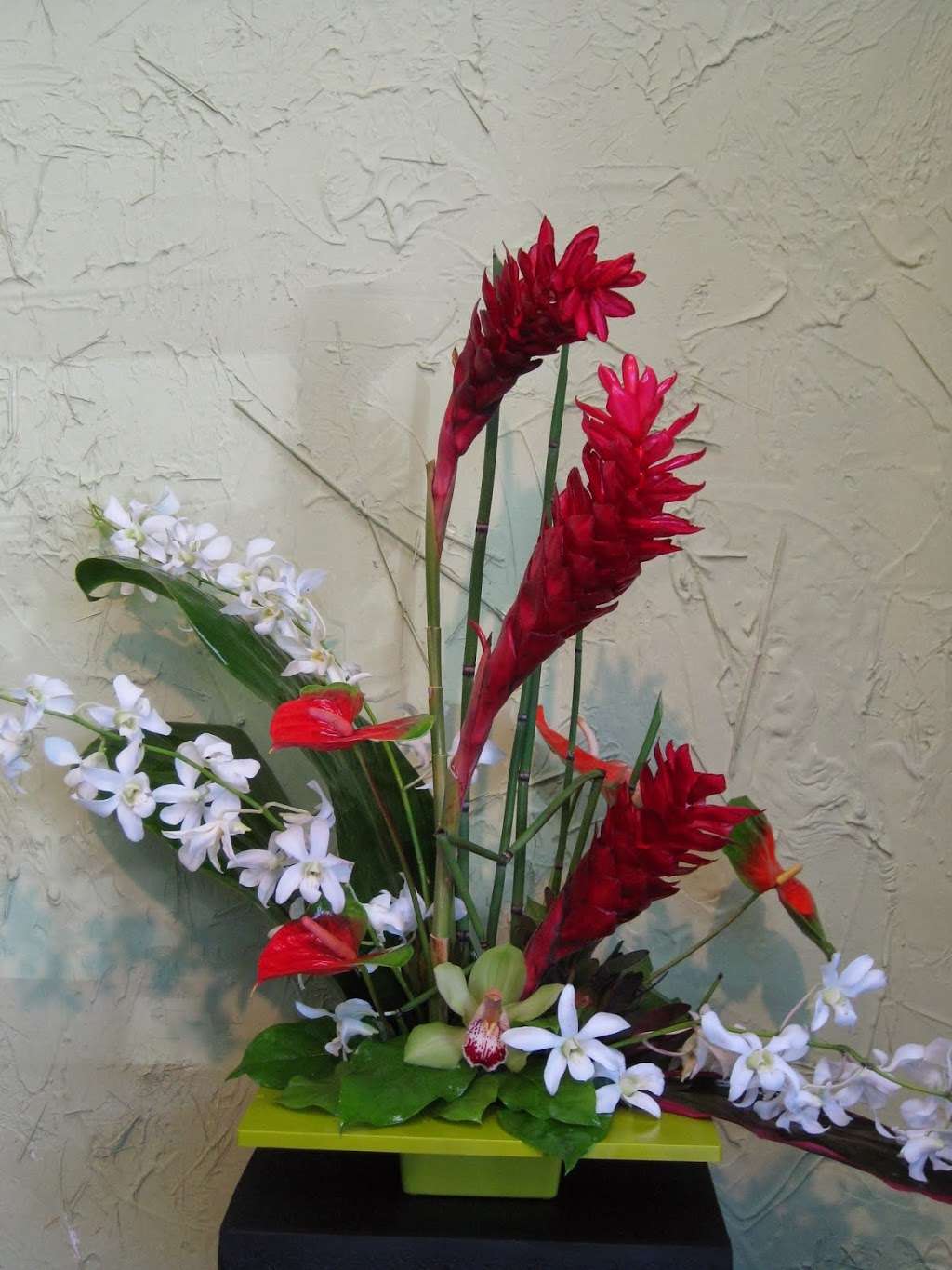 Mc Cool Flowers | 31271 Niguel Rd Suite A, Laguna Niguel, CA 92677 | Phone: (949) 488-7988