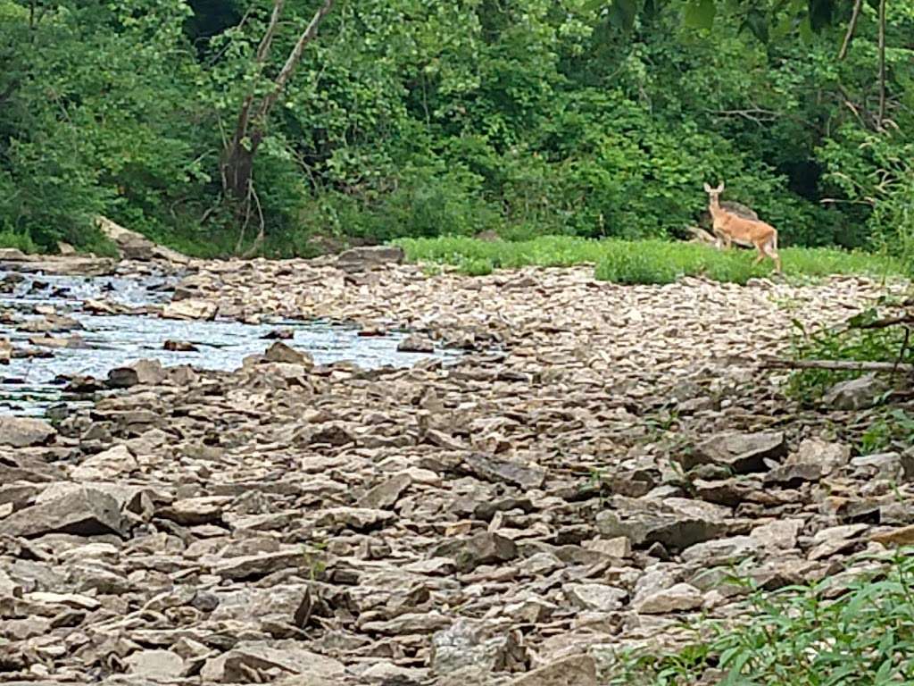 Mill Creek Streamway Park | 5946 Barker Rd, Shawnee, KS 66218, USA