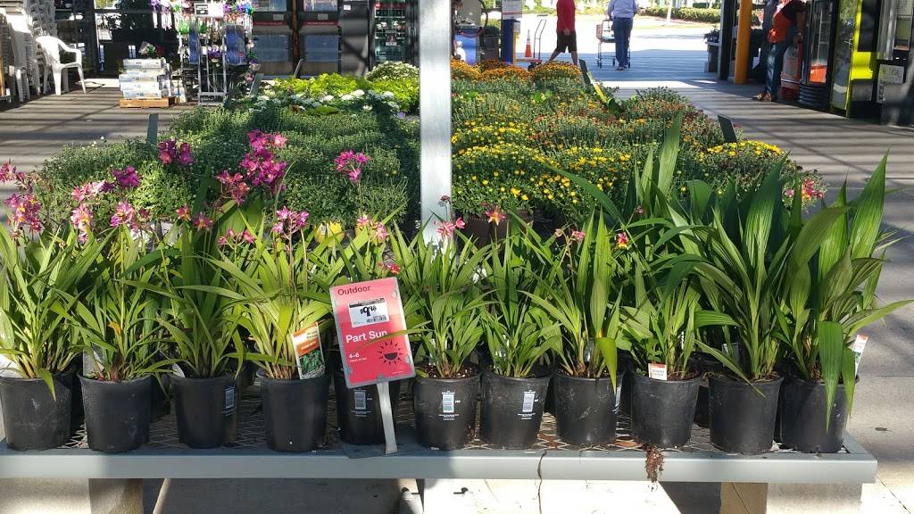 Garden Center at The Home Depot | 5100 N Wickham Rd, Melbourne, FL 32940, USA | Phone: (321) 242-4607