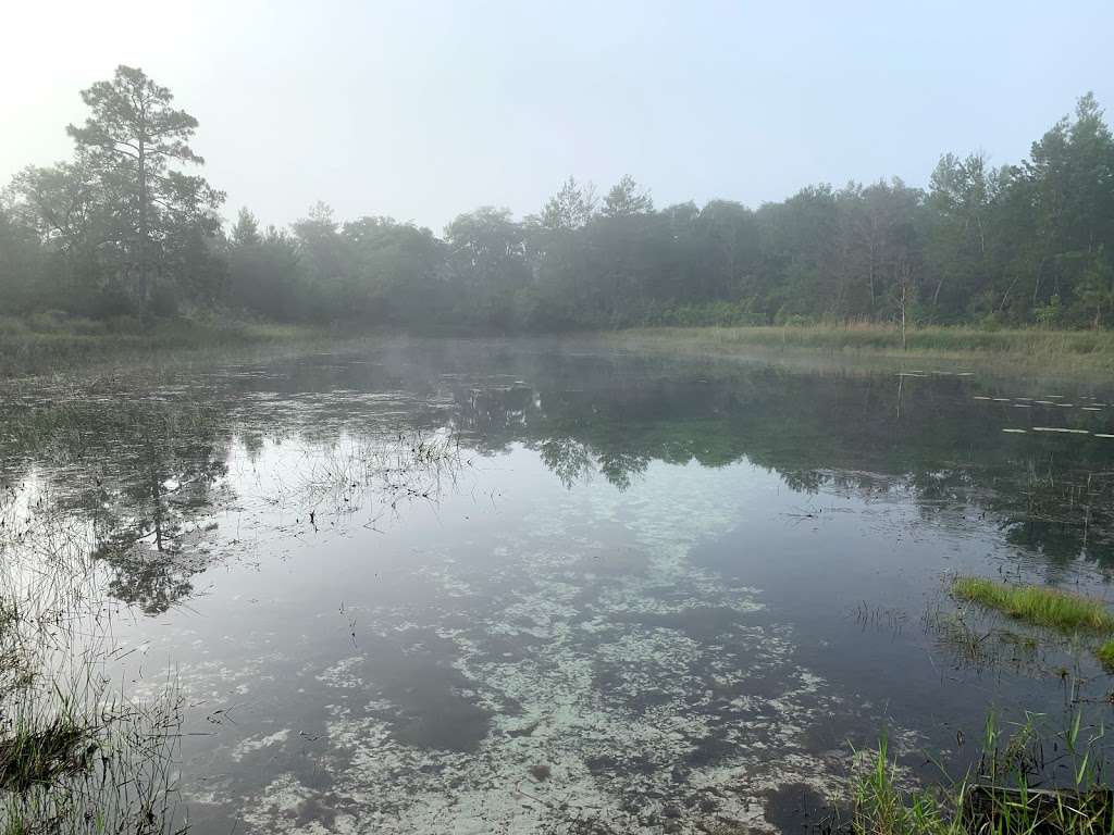 Hidden Pond | Juniper Springs Recreation Area, Florida 40, Silver Springs, FL, Astor, FL 32102, USA