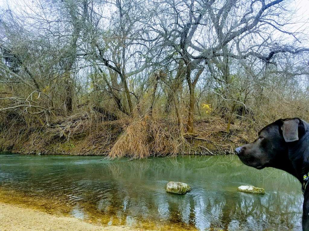 Medina River Natural Area | 15890 TX-16, San Antonio, TX 78264, USA | Phone: (210) 207-7275