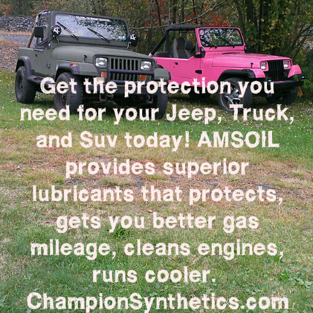 Champion Synthetics - An Independent AMSOIL Dealer | Ebervale, PA 18223, USA | Phone: (570) 582-6276