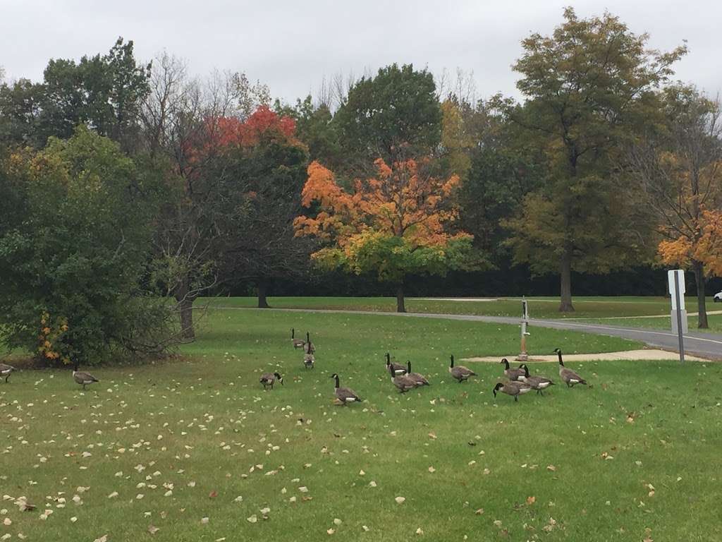 Cook County Forest Preserve police | Streamwood, IL 60107, USA