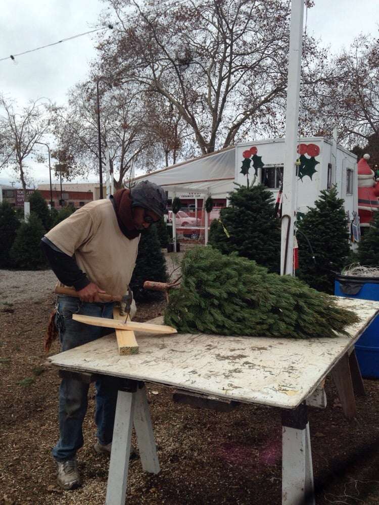 Brents Christmas Trees | 970 Harbor Bay Pkwy, Oakland, CA 94621 | Phone: (510) 635-2773