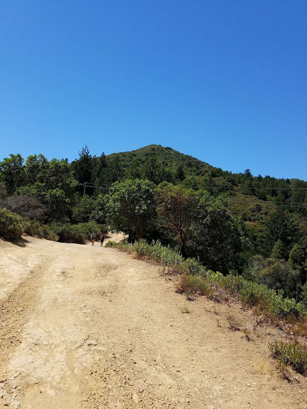 Baltimore Canyon Open Space Preserve | Blithedale Ridge Rd, Kentfield, CA 94904, USA