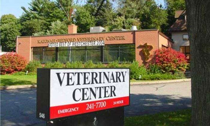 Katonah Bedford Veterinary Center | 546 N Bedford Rd, Bedford Hills, NY 10507, USA | Phone: (914) 241-7700