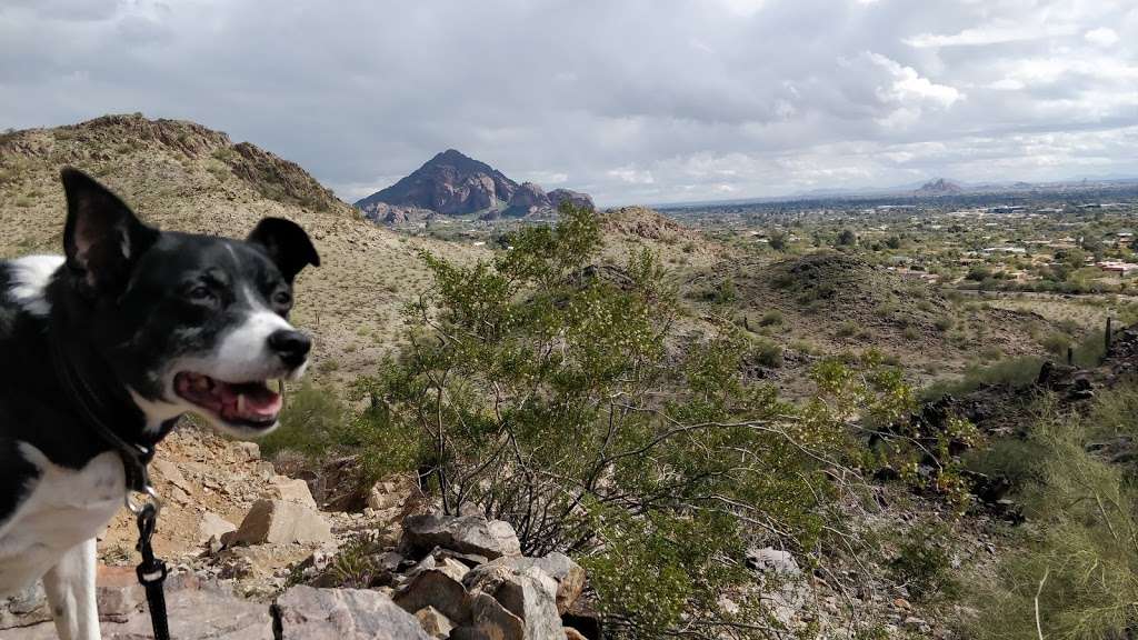 Piestawa Peak Trail | 5594 E Squaw Peak Dr, Phoenix, AZ 85016