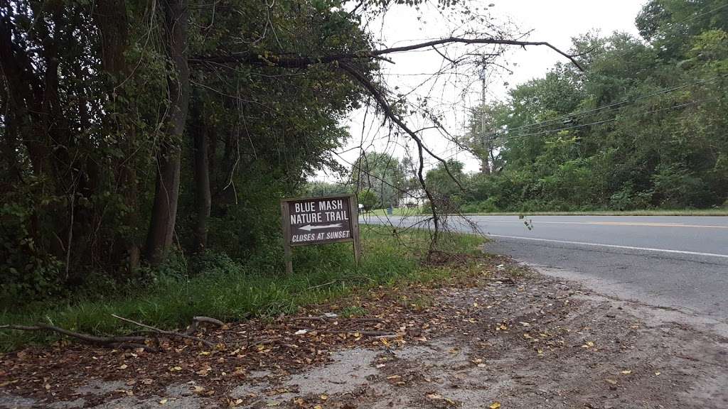 Blue Mash Nature Trail | 20400 Zion Rd, Gaithersburg, MD 20882, USA | Phone: (301) 495-4500
