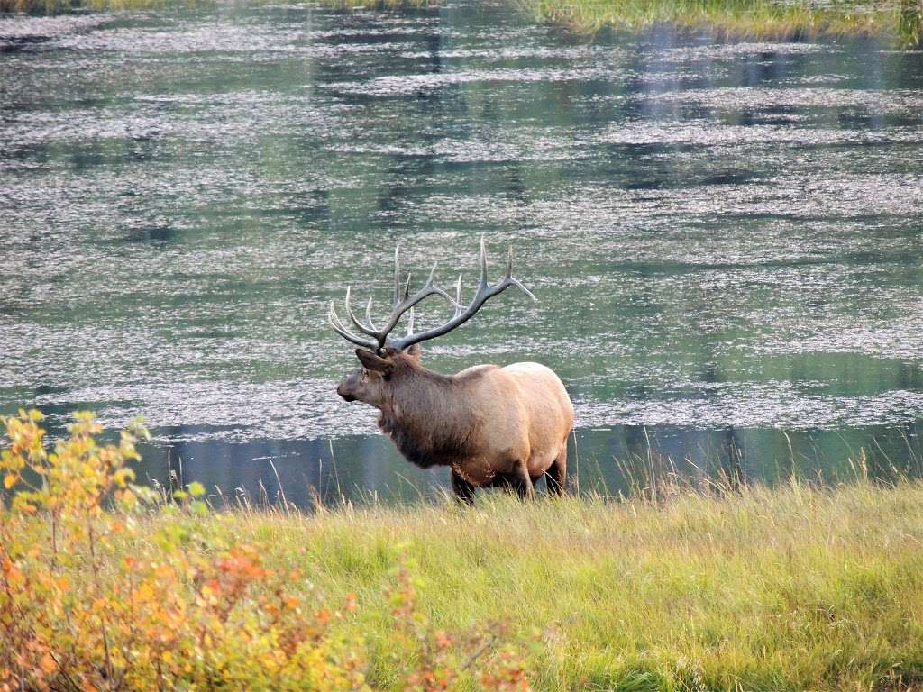 Sheep Lakes Information Station | US-34, Estes Park, CO 80517, USA | Phone: (970) 586-1206