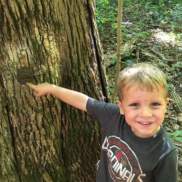 Thrive Forest School | 12501 Harmony Landing Rd, Goshen, KY 40026, USA | Phone: (502) 228-4362