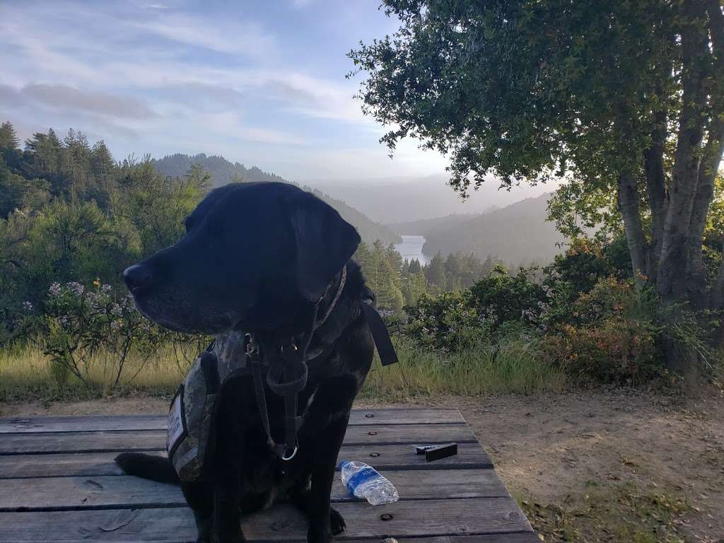 Loch Trail | Loch Trail, Ben Lomond, CA 95005, USA