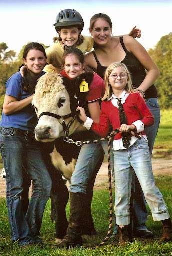 Woodpecker Farm Equestrian | 11321 Paige Rd, Woodford, VA 22580, USA | Phone: (540) 623-5581