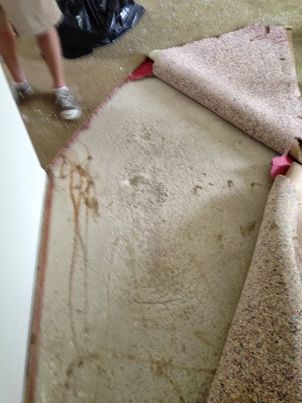 Carpet Cleaning Irvine | 3050 S Bristol St, Santa Ana, CA 92704, USA | Phone: (714) 409-3845