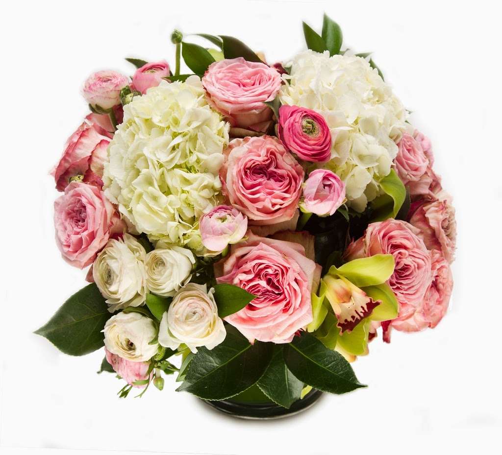 My Fair Ladys Flowers | 2691 N Beachwood Dr, Hollywood, CA 90068, USA | Phone: (323) 466-5239