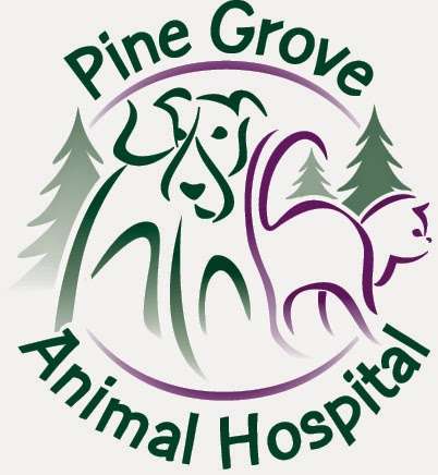 Pine Grove Animal Hospital | 18320 E, Cottonwood Dr Unit K, Parker, CO 80138 | Phone: (303) 693-7387