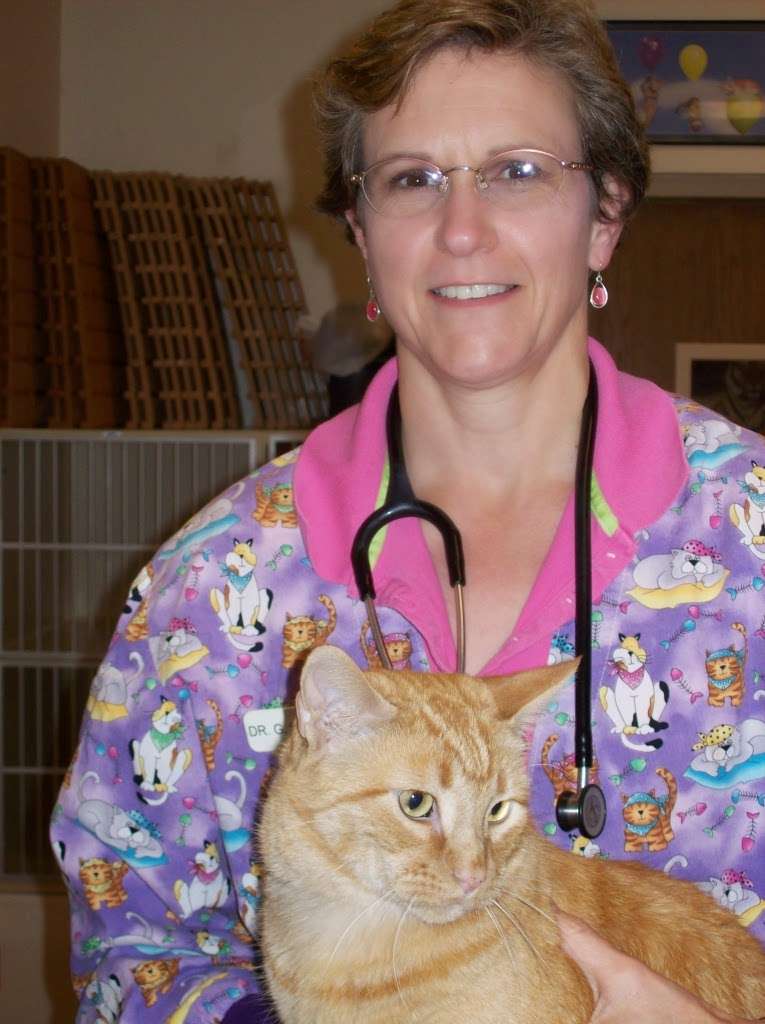 Arlington Cat Clinic | 841 N Wilke Rd, Arlington Heights, IL 60005, USA | Phone: (847) 398-3355