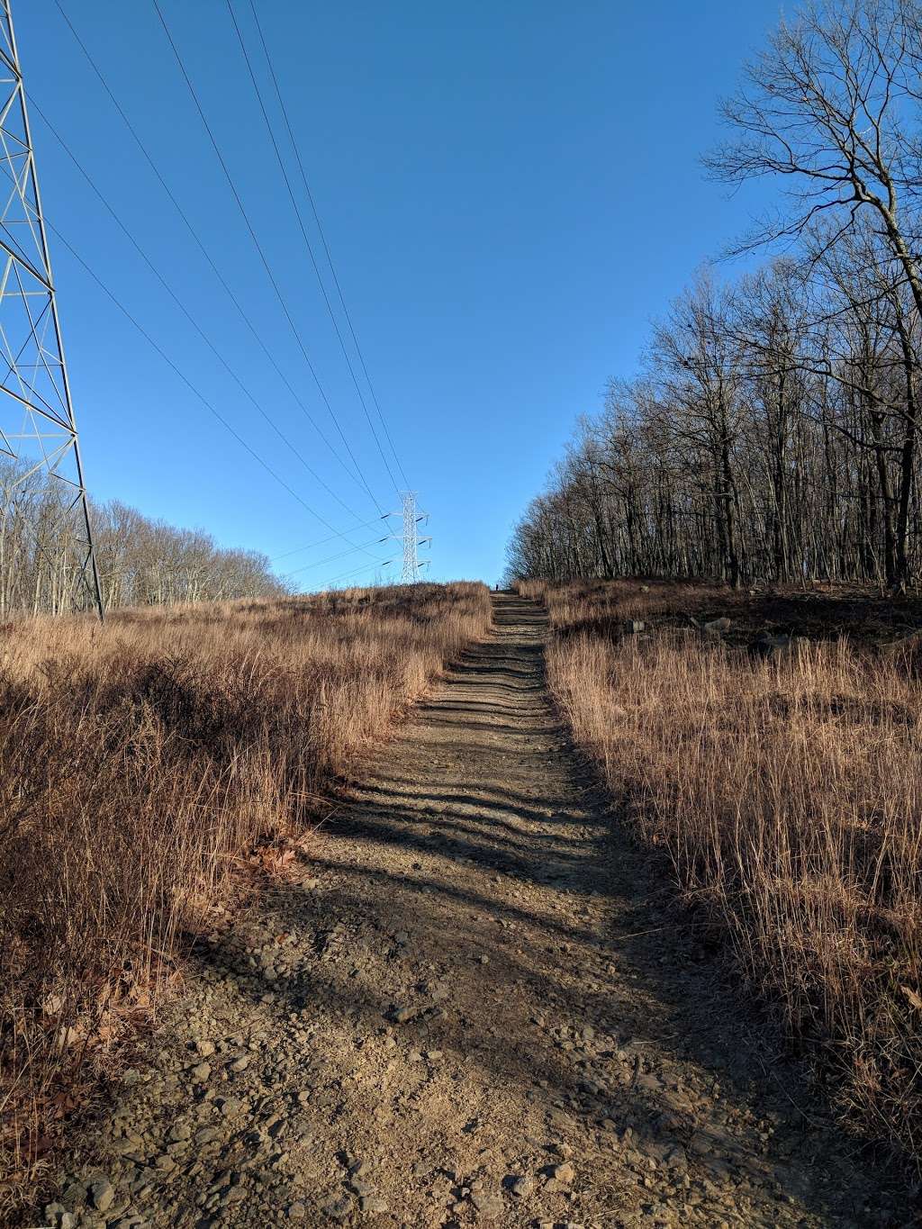 James Andrews Memorial County Park | W Hanover Ave, Randolph, NJ 07869, USA