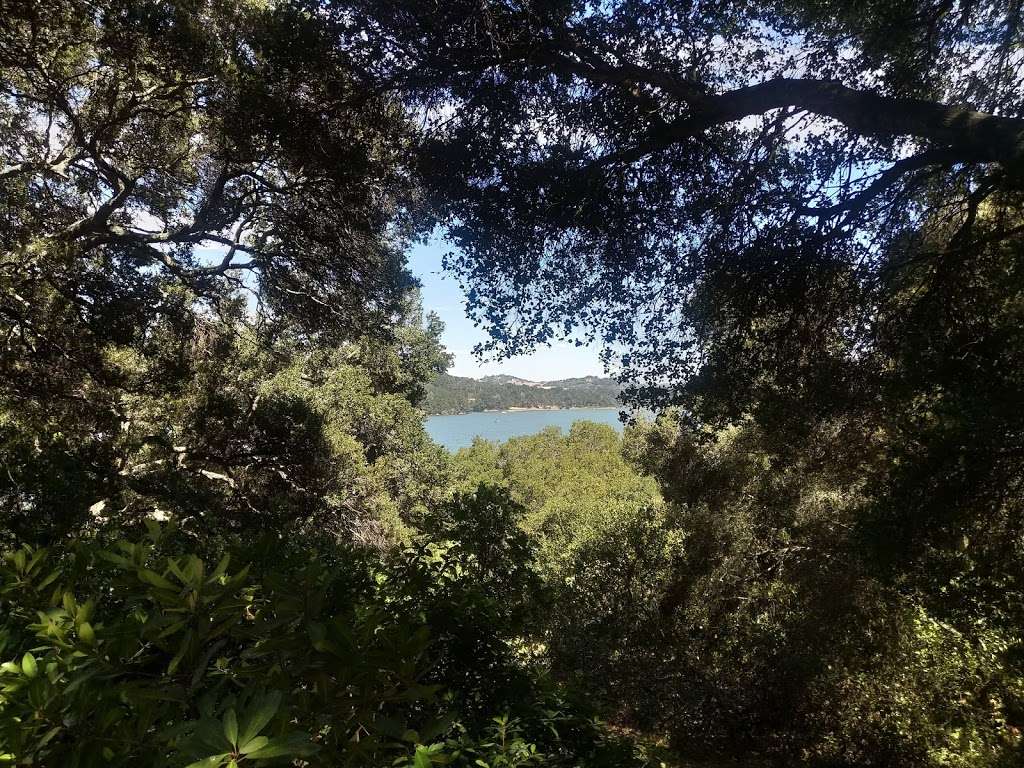 San Pablo Reservoir Oaks Picnic Area | 7301 San Pablo Dam Rd, El Sobrante, CA 94803 | Phone: (510) 223-1661