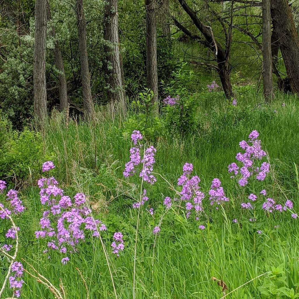 Haystack Mountain Golf Course | 5877 Niwot Rd, Longmont, CO 80503 | Phone: (303) 530-1400