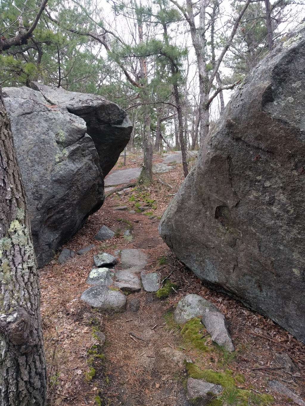 Old Tompson Street Cart Path | Bray St, Gloucester, MA 01930, USA