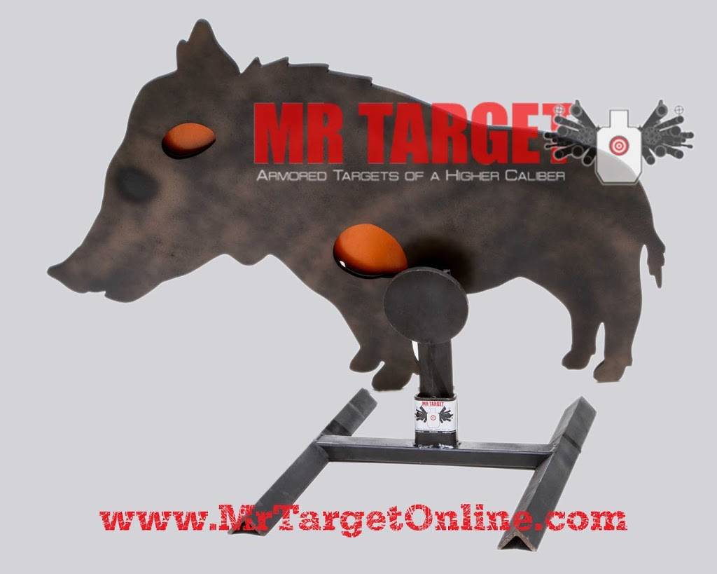 Mr Target | 1701 W 10th St Suite 12, Tempe, AZ 85281, USA | Phone: (480) 678-9860