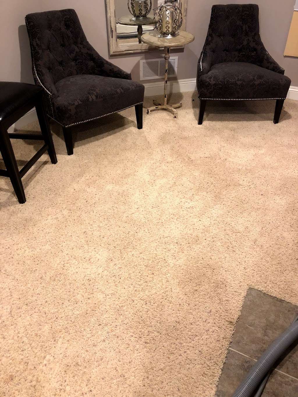 Citrus A Peel Carpet Cleaning | 8 Lloyd Pl, Oakhurst, NJ 07755, USA | Phone: (732) 268-0258