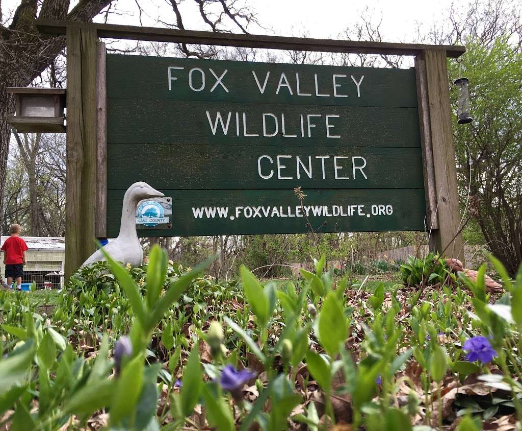 Fox Valley Wildlife Center | 45W061, IL-38, Elburn, IL 60119, USA | Phone: (630) 365-3800