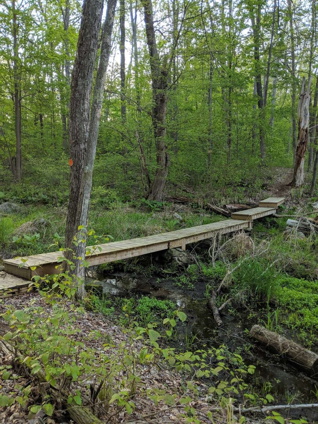 Brewer Brook Dam Trail | 148 Pleasant St, Berlin, MA 01503, USA