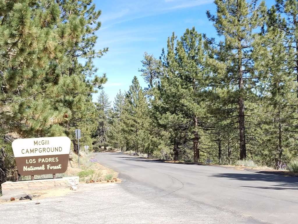 McGill Campground | Mc Gill Camp Rd, Frazier Park, CA 93225, USA | Phone: (805) 434-1996