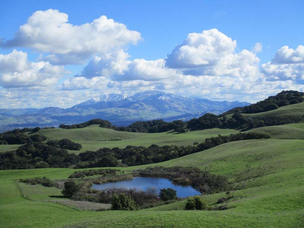 Briones Regional Park | 5363 Alhambra Valley Rd, Martinez, CA 94553, USA | Phone: (888) 327-2757