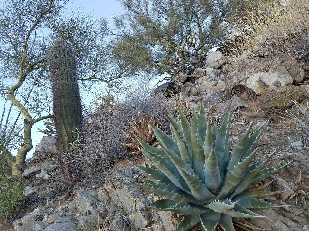 Quartz Peak trail | Laveen Village, AZ 85339, USA