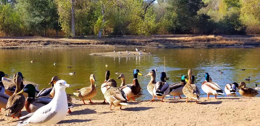 Duck Pond | Escondido, CA 92025, USA