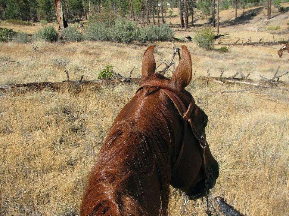 Cowboy Boot Camp | 63 Buckskin Ln, Rolling Hills Estates, CA 90274 | Phone: (310) 872-9421