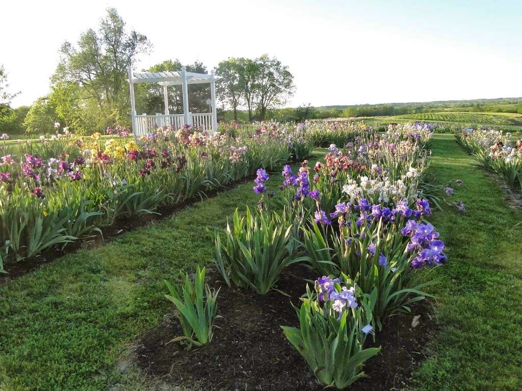 Comanche Acres Iris Gardens | 12421 SE State Route 116, Gower, MO 64454 | Phone: (816) 424-6436